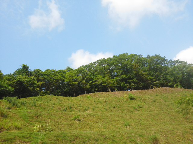 f0061067_913254.jpg