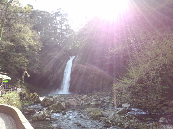 e0004173_9201329.jpg