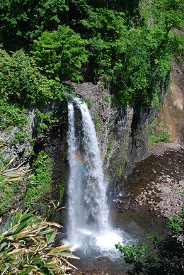 a0133886_18263189.jpg