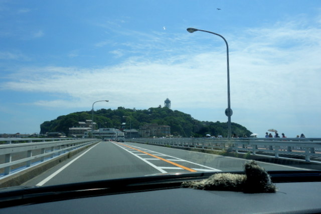 f0137694_8272274.jpg