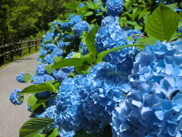 b0044296_0174341.jpg
