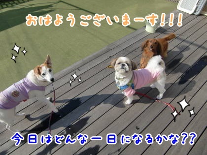 a0338800_23303829.jpg