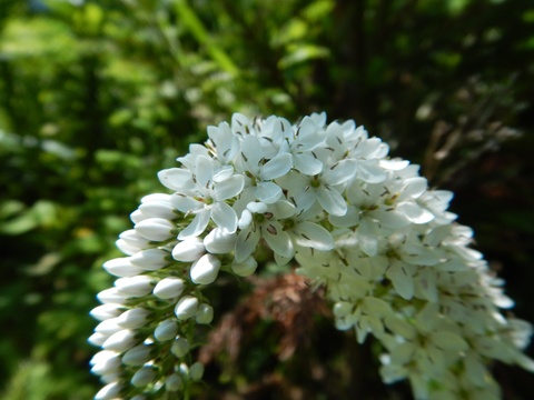 f0118332_20551161.jpg