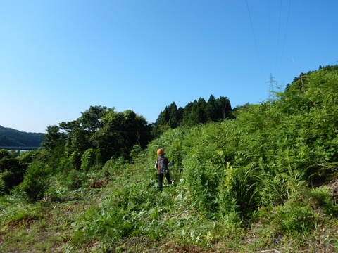 f0118332_21114055.jpg