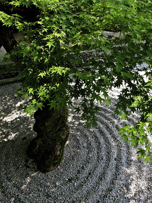 f0315034_13414749.jpg