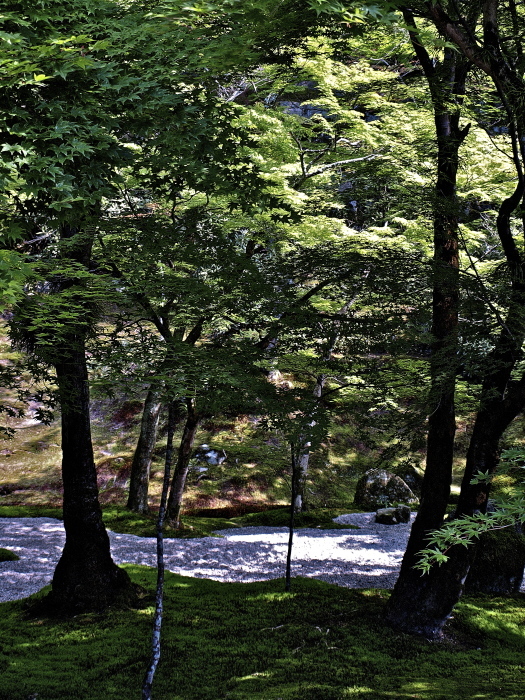 f0315034_13463679.jpg