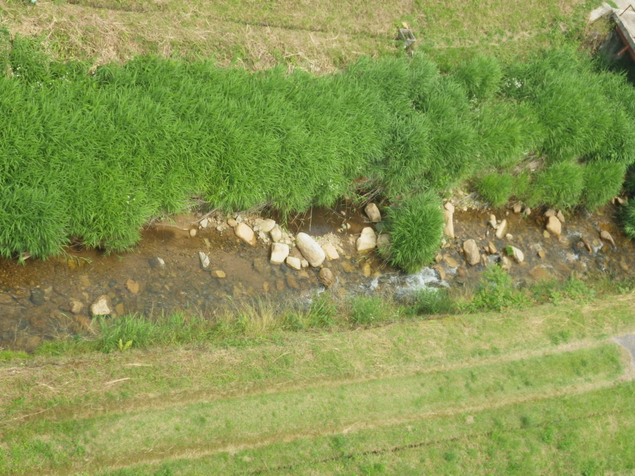 c0300035_12125942.jpg