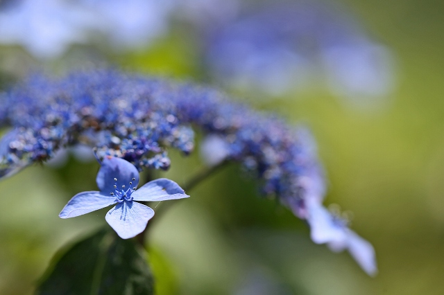 a0242438_20143195.jpg