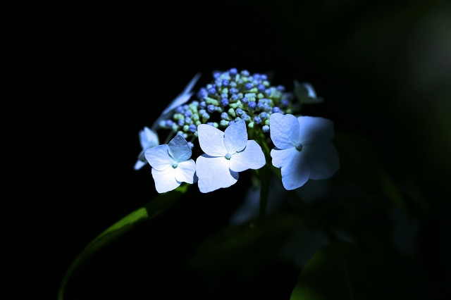 a0242438_2014452.jpg