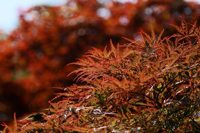 a0242438_20162941.jpg