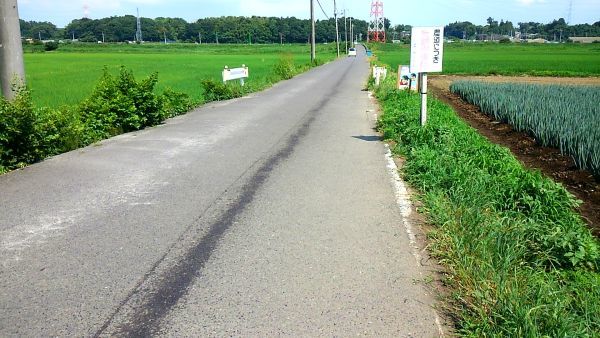 e0086244_16023215.jpg