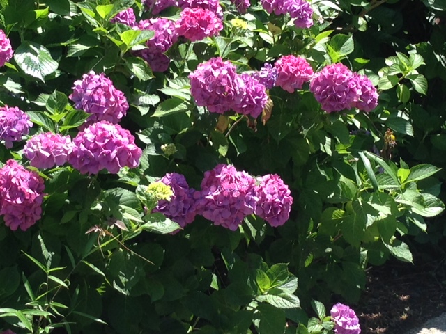 c0343447_848481.jpg