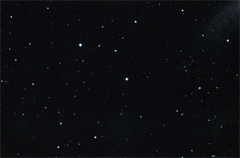 e0005548_10839.gif