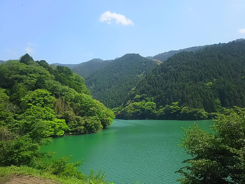 f0067354_551696.jpg