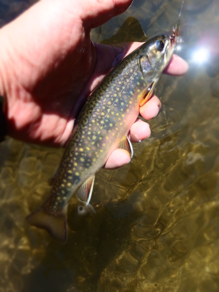 e0212759_0363943.jpg