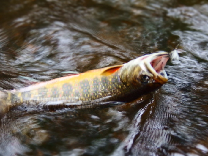 e0212759_0561068.jpg