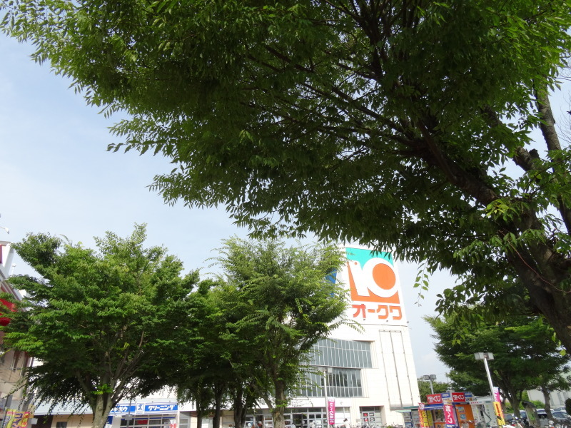 c0108460_20315625.jpg