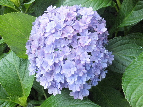 e0088260_20355842.jpg