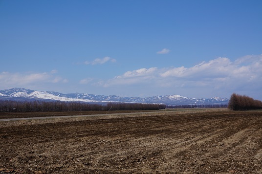 e0195766_12184577.jpg