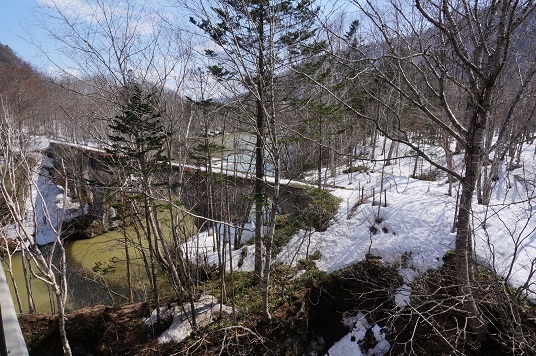 e0195766_12190525.jpg