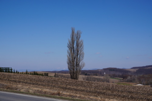 e0195766_12435620.jpg