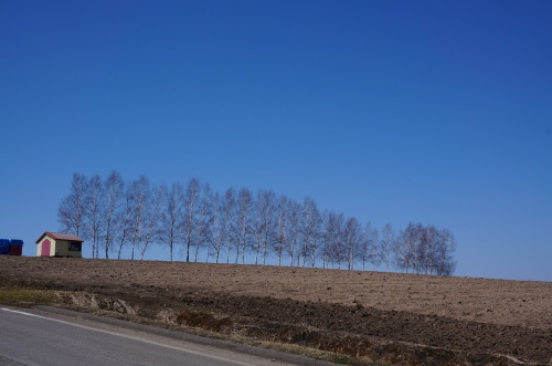 e0195766_12440639.jpg