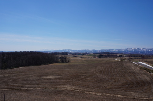 e0195766_12442106.jpg