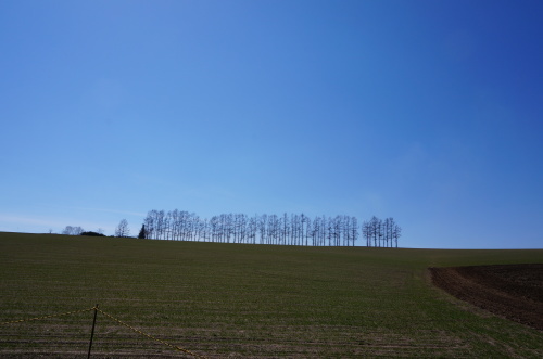 e0195766_12442793.jpg
