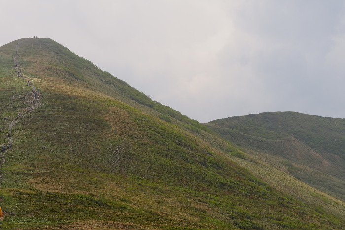e0307372_17554472.jpg