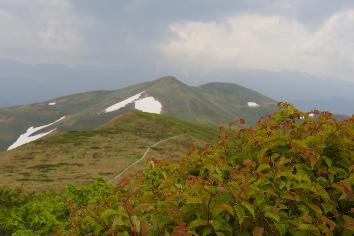 e0307372_21064582.jpg