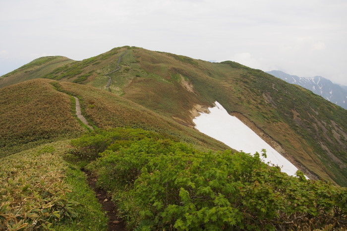 e0307372_21085795.jpg