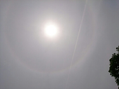 f0152875_112282.jpg