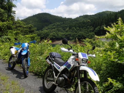 a0279883_00355541.jpg