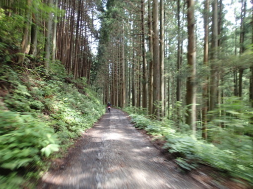 a0279883_01315169.jpg