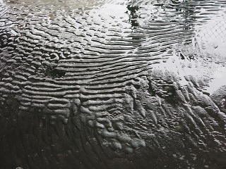 e0130185_20562774.jpg