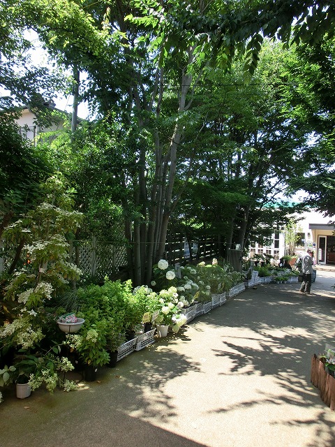 e0123587_2039783.jpg
