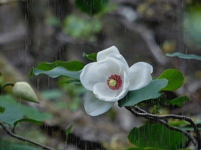 f0357487_16295833.gif