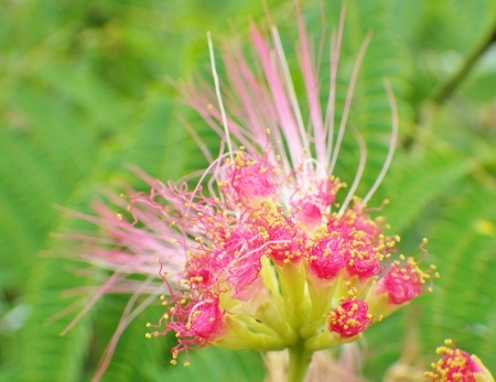 a0125598_23354638.jpg