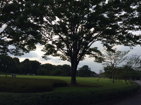 b0160300_14273356.jpg