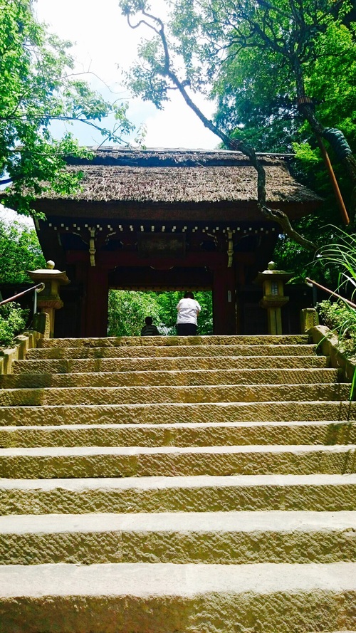 c0202101_016579.jpg