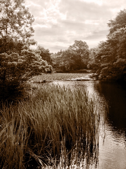 d0039803_15414543.jpg