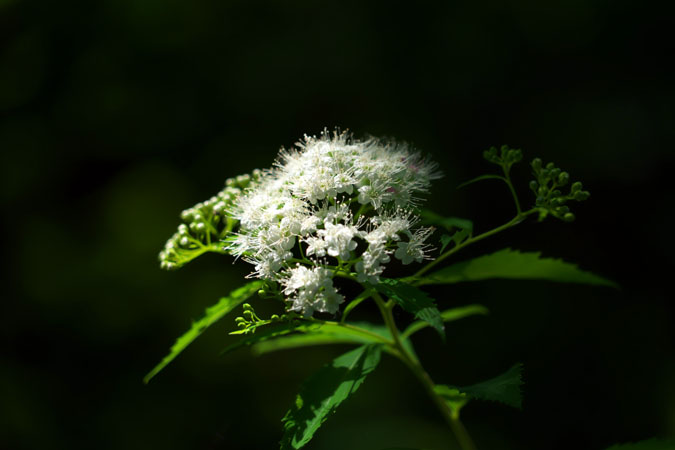 a0263109_18184465.jpg