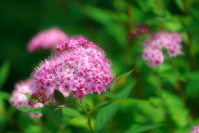 a0263109_18185929.jpg