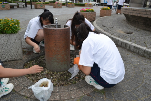 b0328412_20121220.jpg
