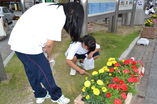 b0328412_20121752.jpg