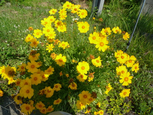 c0189218_19101327.jpg