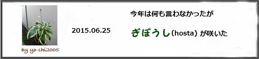 e0033229_17282841.jpg