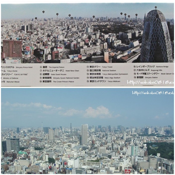 e0052135_23312588.jpg