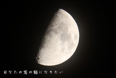 c0360539_22321827.jpg