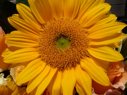 a0314846_12155541.jpg
